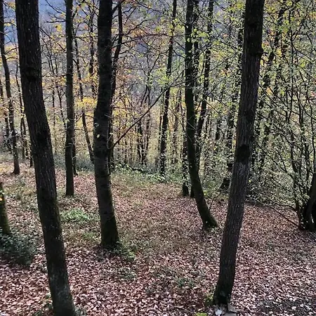 Prázdninový dům Dar Zaina